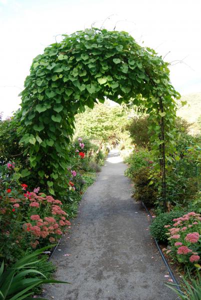 The Arch on the Bridge of Flowers